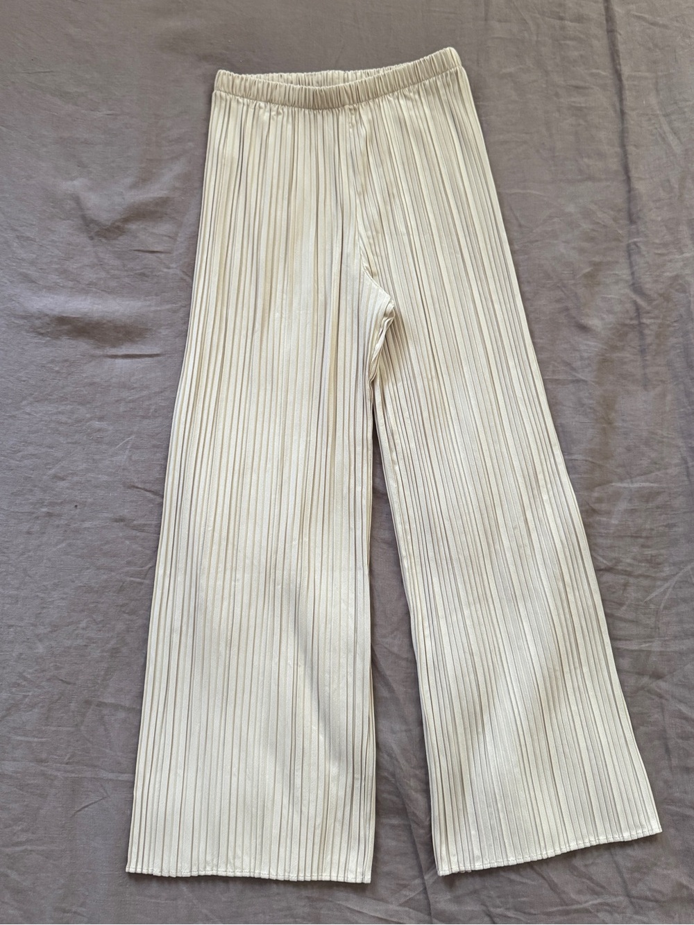 Uniqlo Pleated Pants